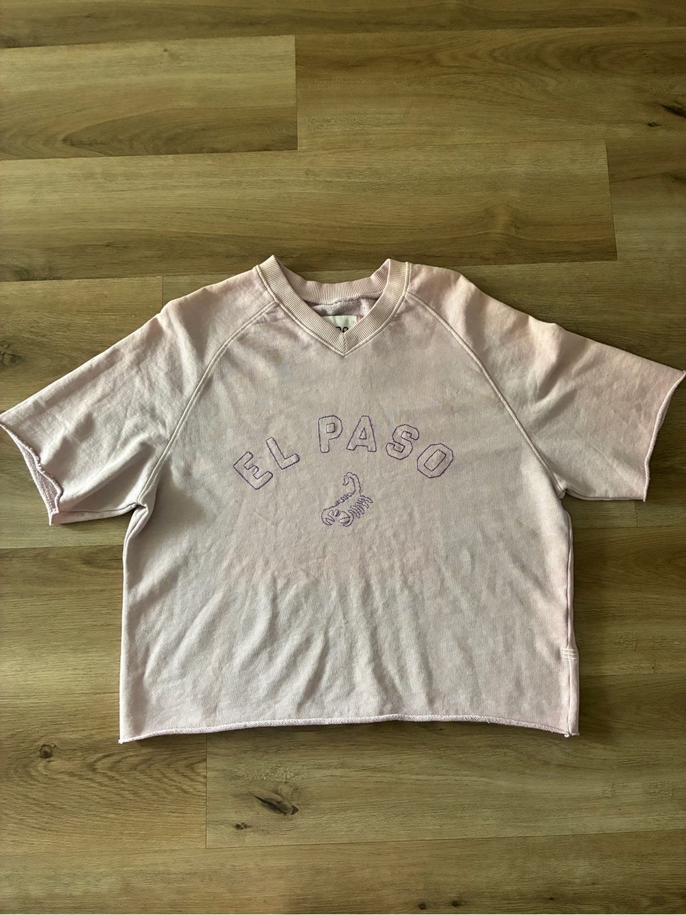 BDG El Paso Cropped Sweatshirt Tee Pink Scorpion Graphic NWOT Size XS/S